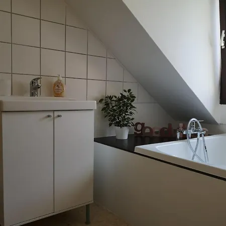 Kamus * 巴登-巴登